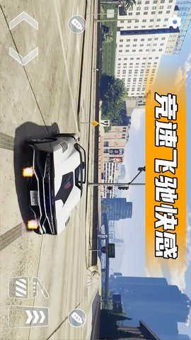 自由汽车驾驶 300.1.0  2