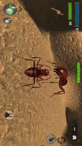蚂蚁世界模拟器 1.0  3