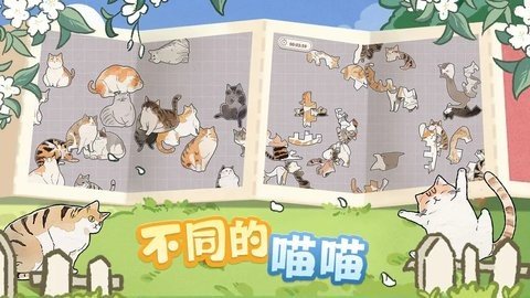 挤在一起的猫猫 1.16 安卓版 2
