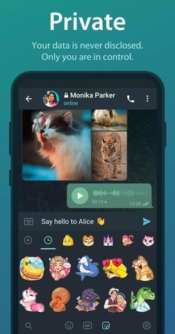 telegram 11.12.0 最新版 0