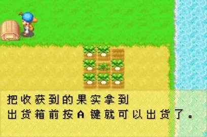 牧场物语矿石镇的伙伴们 1.0  2