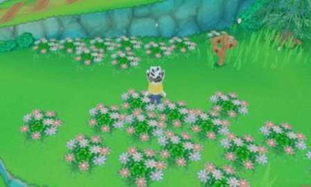 牧场物语起源的大地 1.0  3