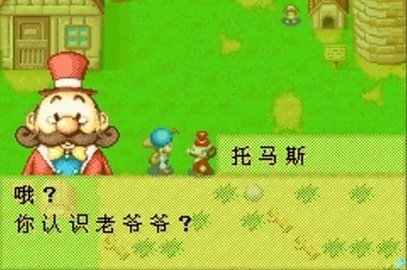 牧场物语矿石镇的伙伴们 1.0  3