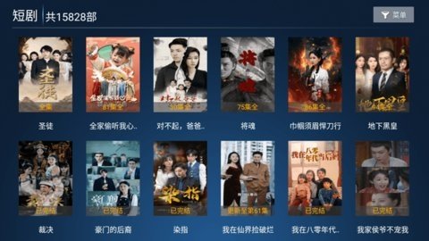 黑曼巴TV版 1.0 官方版 3