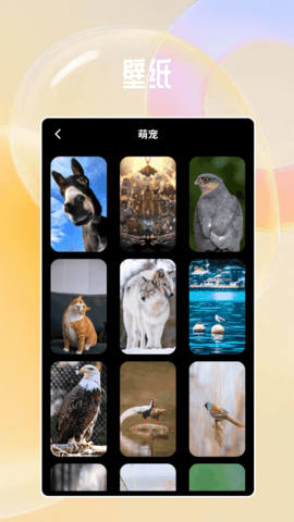 六合图库宝典 0.0.13 安卓版 3