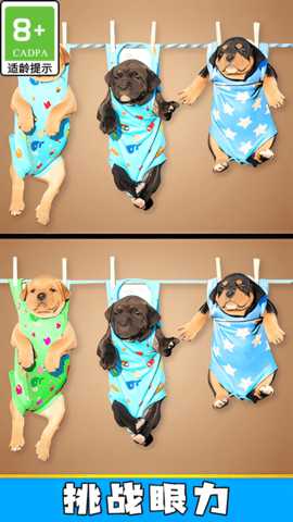 颜色找不同 1.0.1 安卓版 1