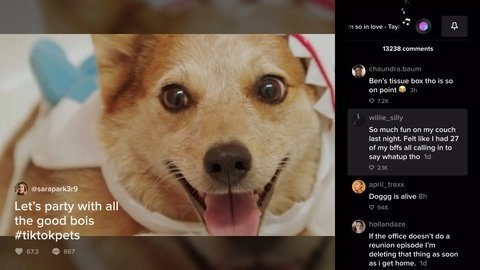 tiktokTV版 12.3.7.1 官方版 1