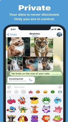 telegeram中文版 12.6.4 最新版 2