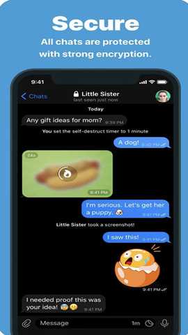 telegeram中文版 12.6.4 最新版 0
