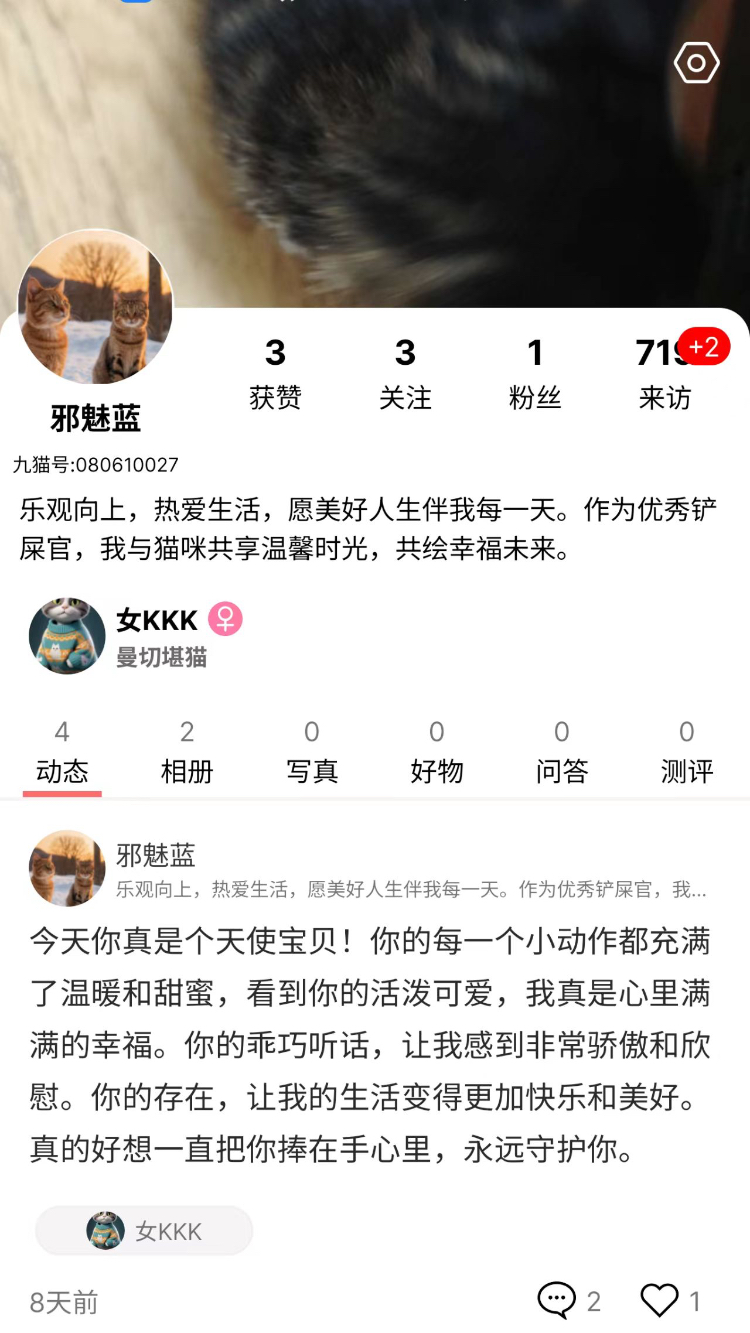 九猫 1.0.0 最新版 2