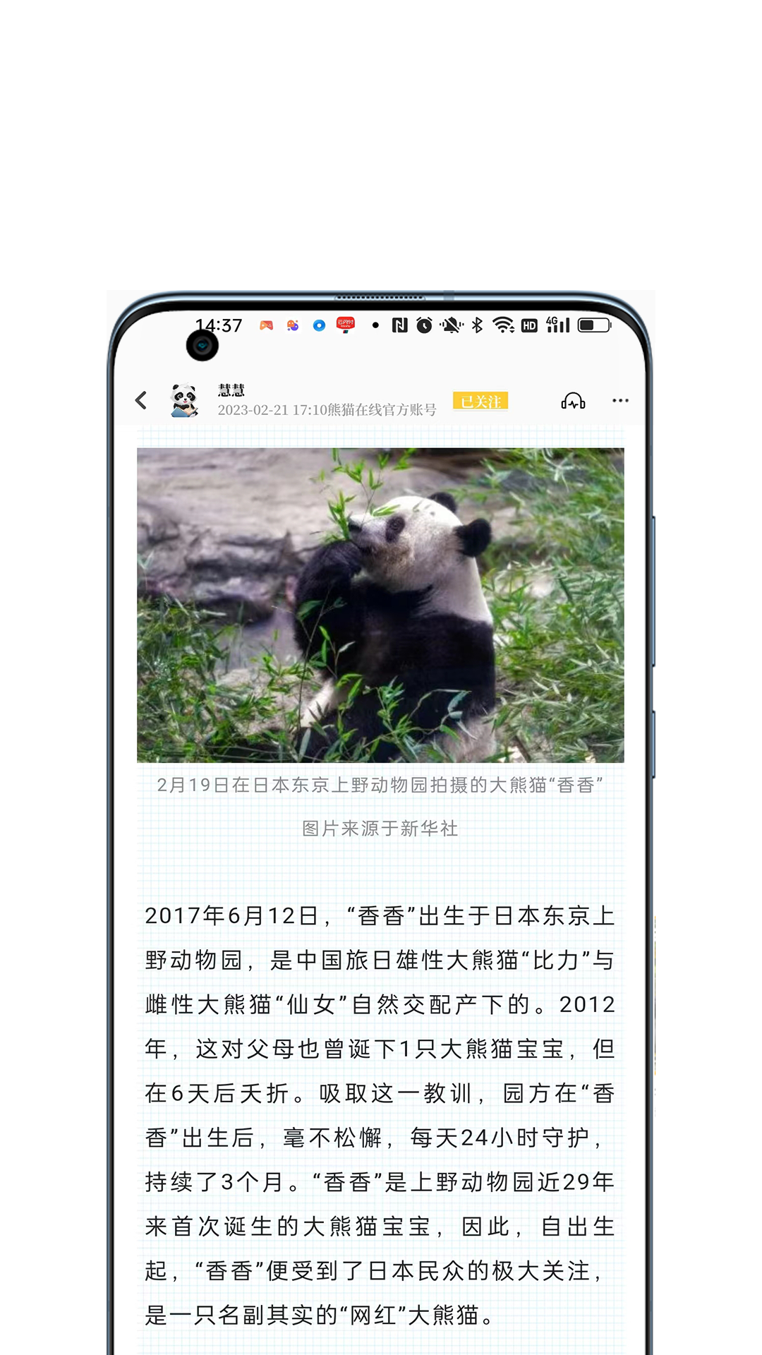 看熊猫 1.2.2 最新版 2