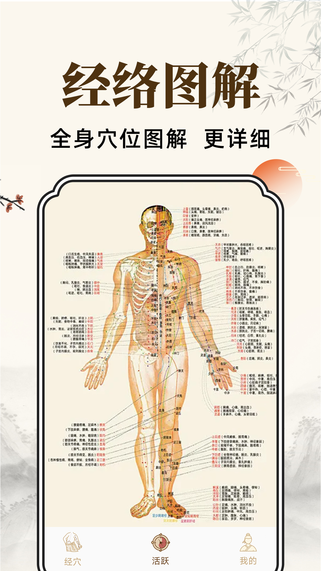 穴位经脉详解 1.0.7 最新版 2