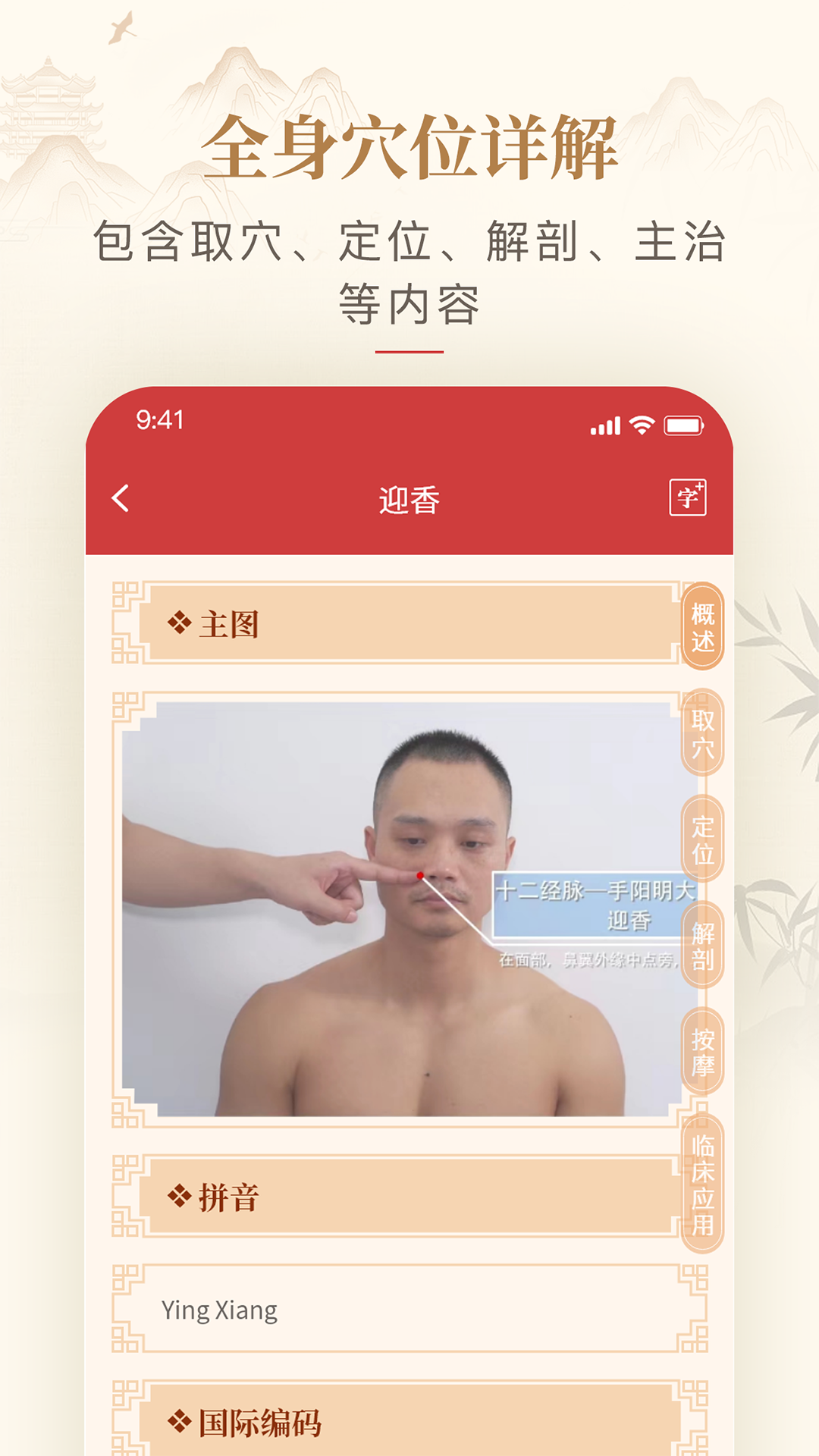 人体穴位图解 1.3 最新版 2
