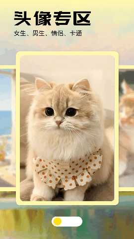 KJ77 1.3 最新版 2