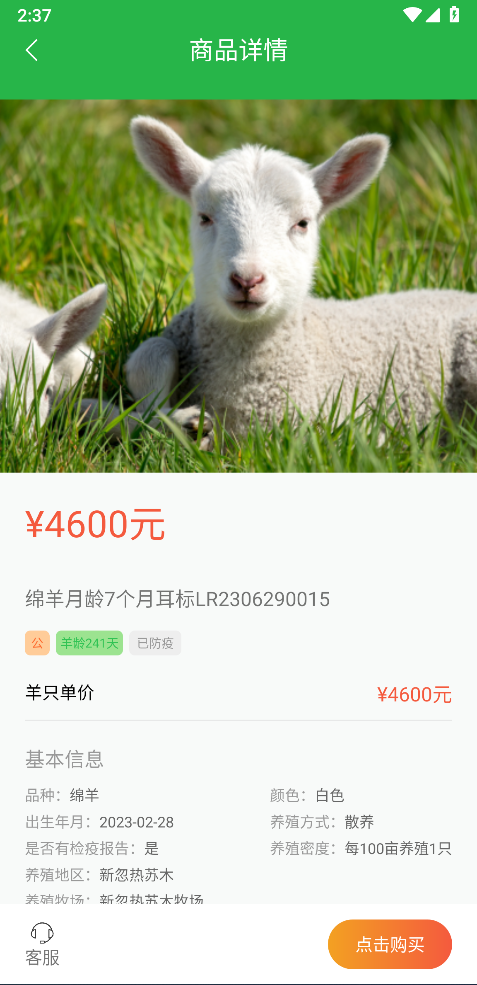 我在草原有只羊 1.23 最新版 1