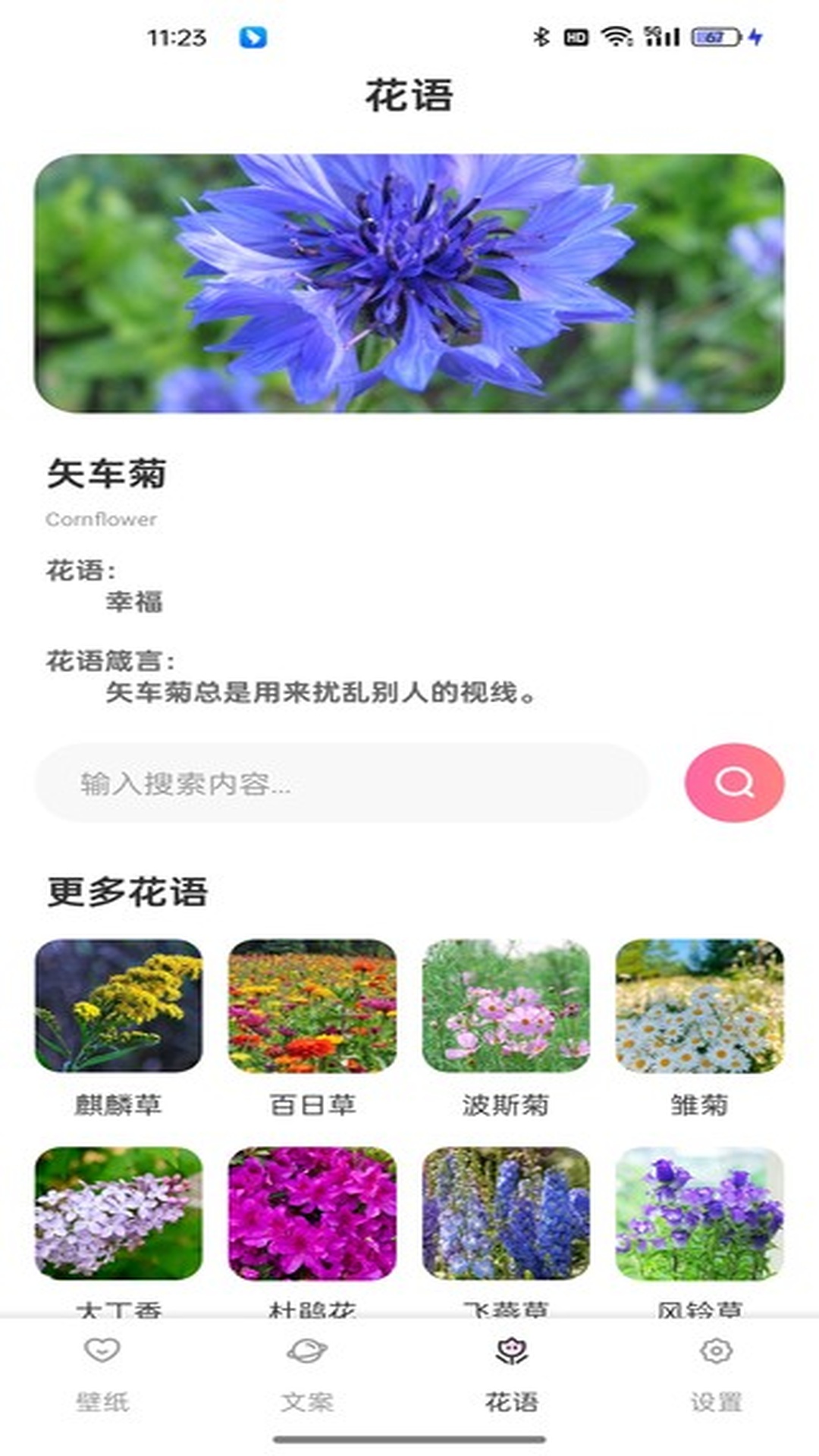 傲娇壁纸 1.0.7 最新版 2