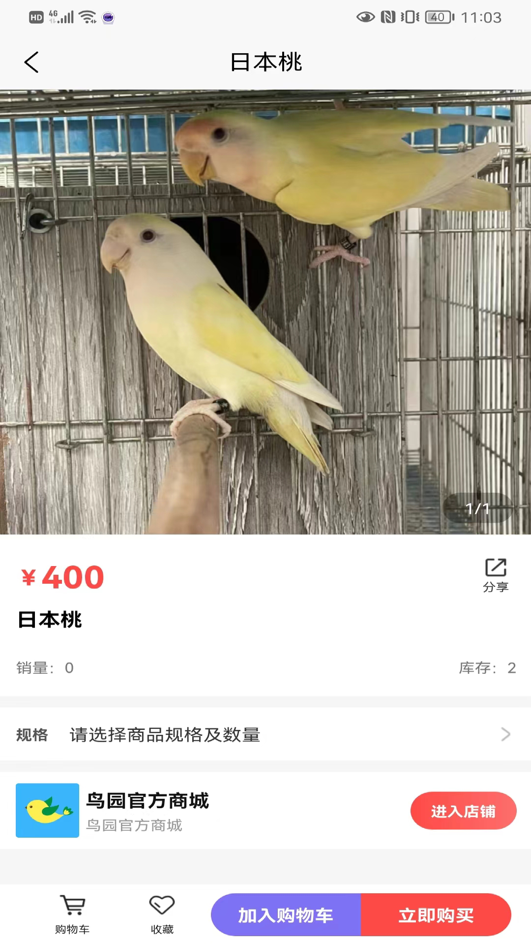 鸟园 4.0.0 最新版 2