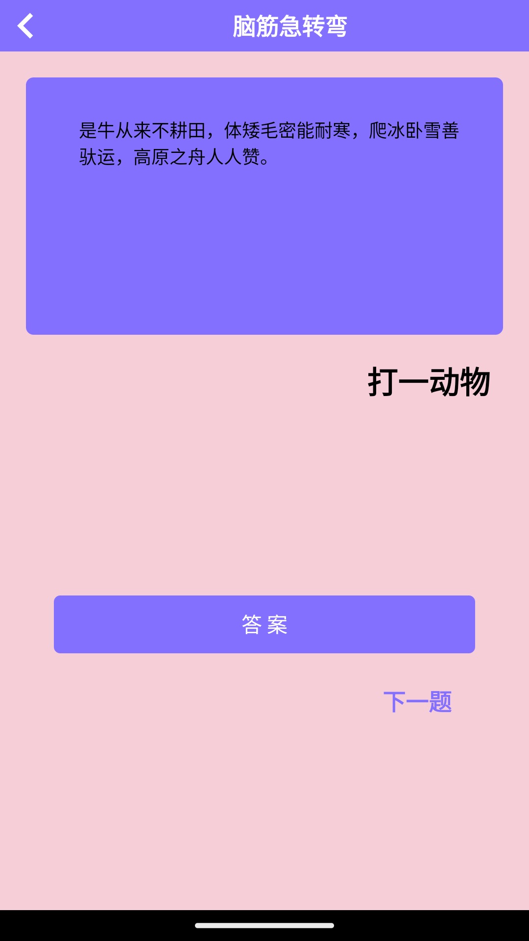 兔子先生 3 最新版 3