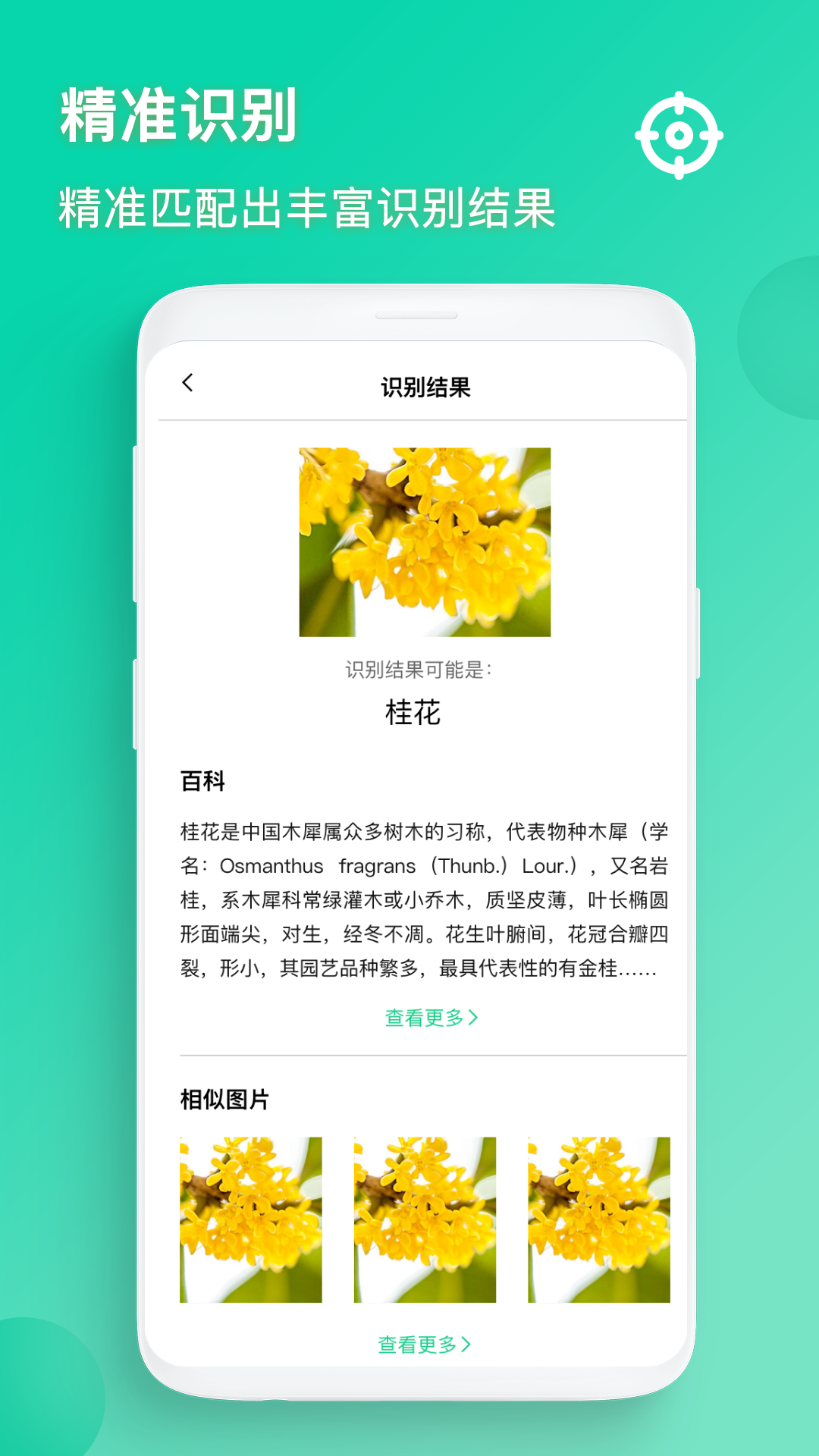 识图 5.0.1 最新版 3