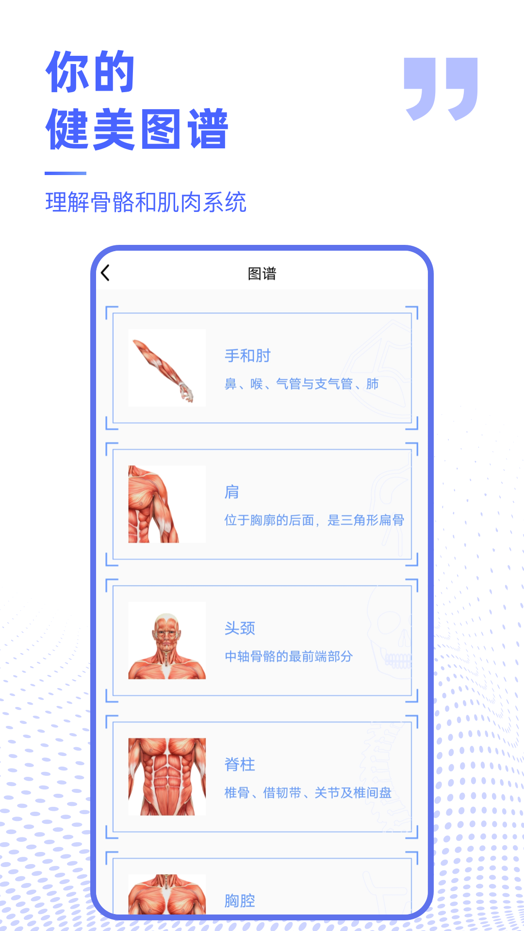 解剖学图谱 2.4.2 最新版 1