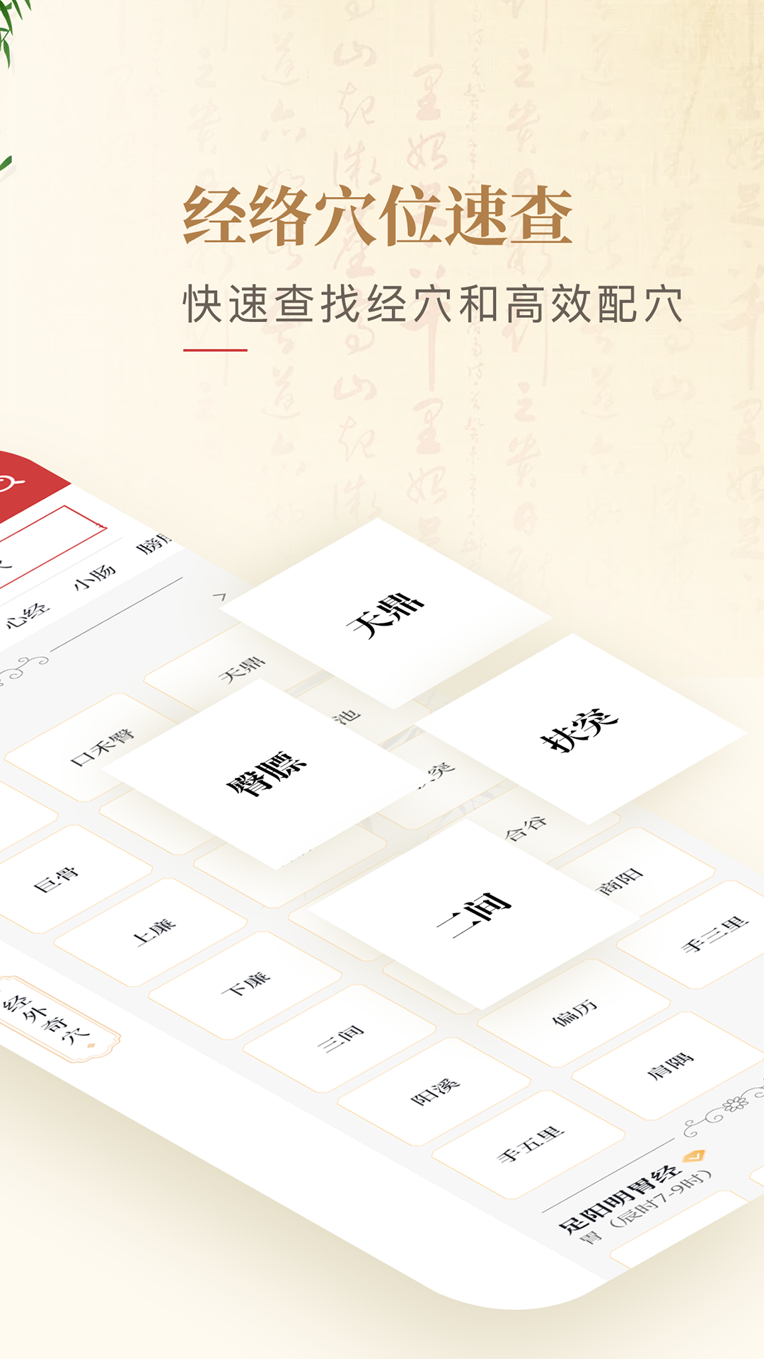 人体穴位图解 1.3 最新版 1