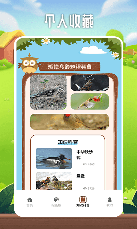孤独的鸟 2.1 最新版 3