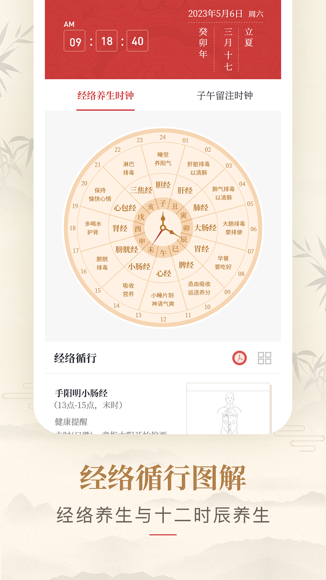 人体穴位图解 1.3 最新版 3