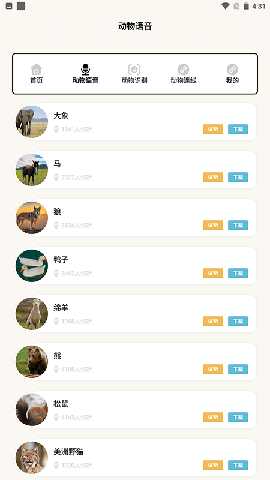 动物世界i 2.1 最新版 3