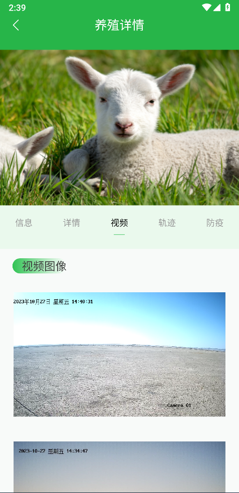 我在草原有只羊 1.23 最新版 4