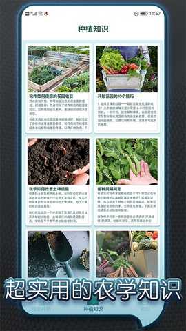 种个大南瓜 1.3 最新版 2