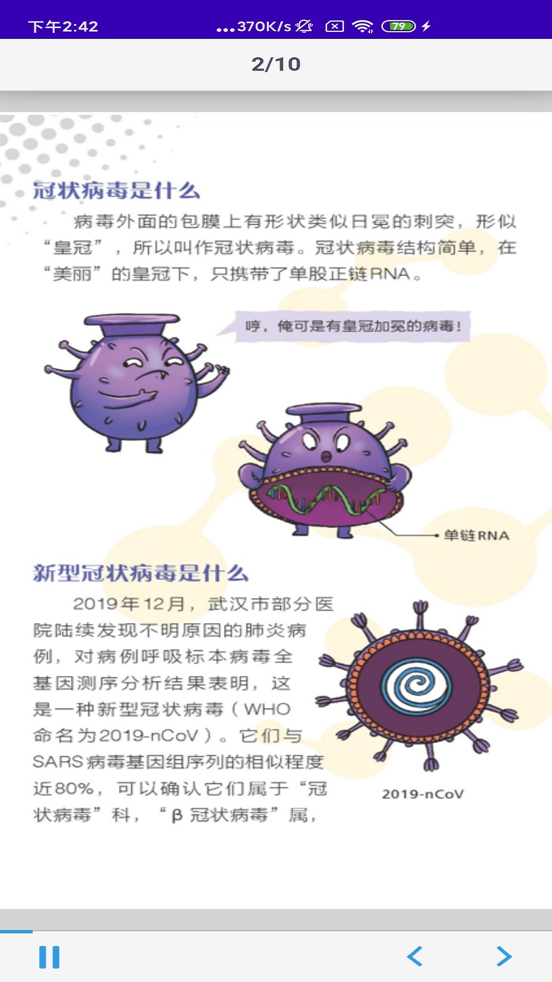文星H5播放器 3.1.1 最新版 1