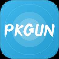 PK Gun