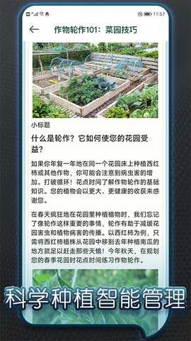 种个大南瓜 1.3 最新版 3