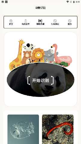 动物世界i 2.1 最新版 2