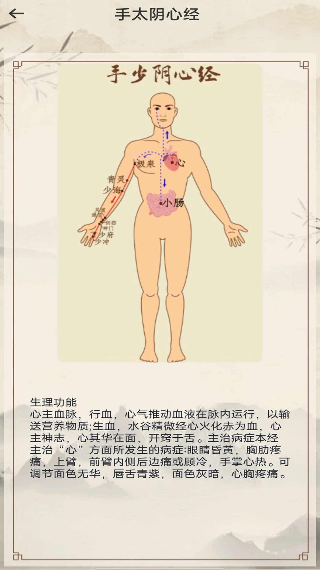中医经络穴位图解 1.0.3 最新版 2