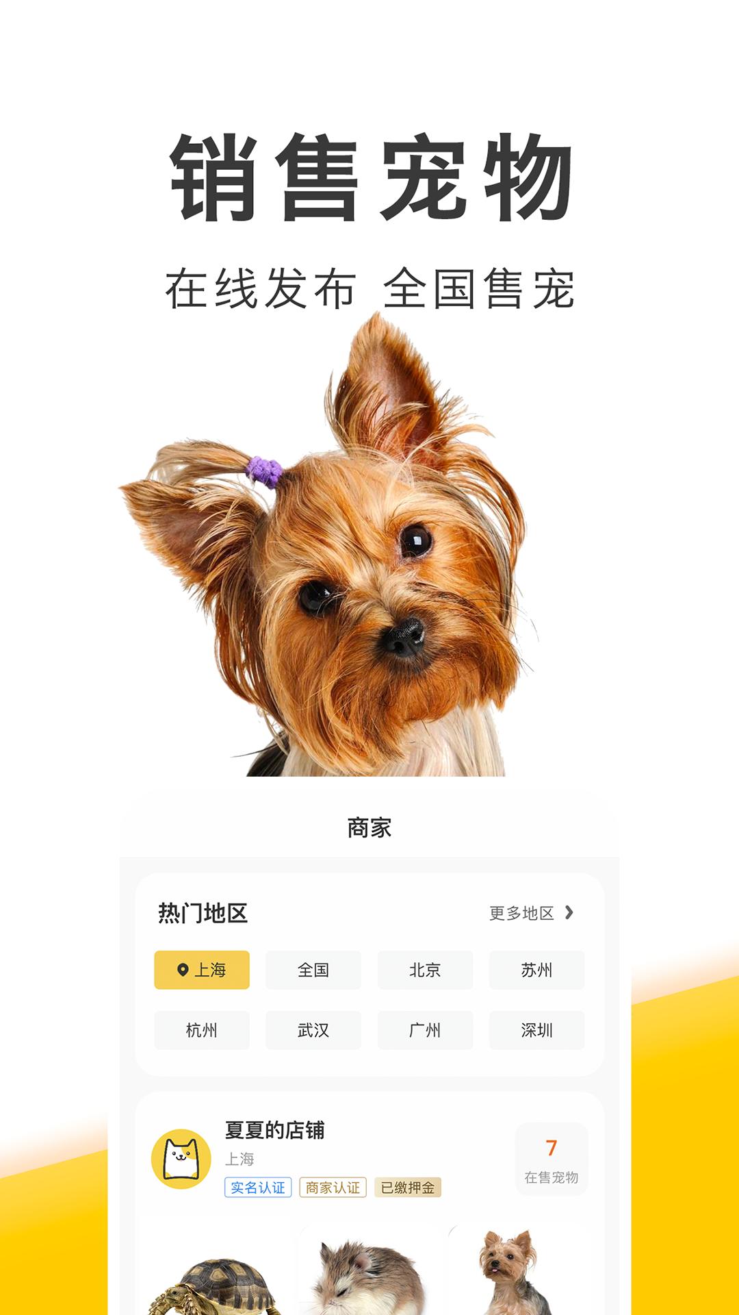 买只宠物 4.5.0 最新版 2
