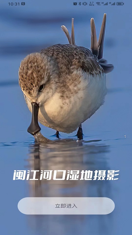 图悠悠 1.0.11 最新版 3