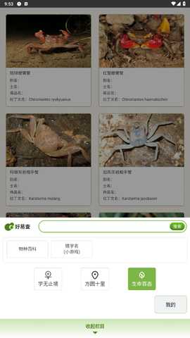 好易查 1.7 最新版 2