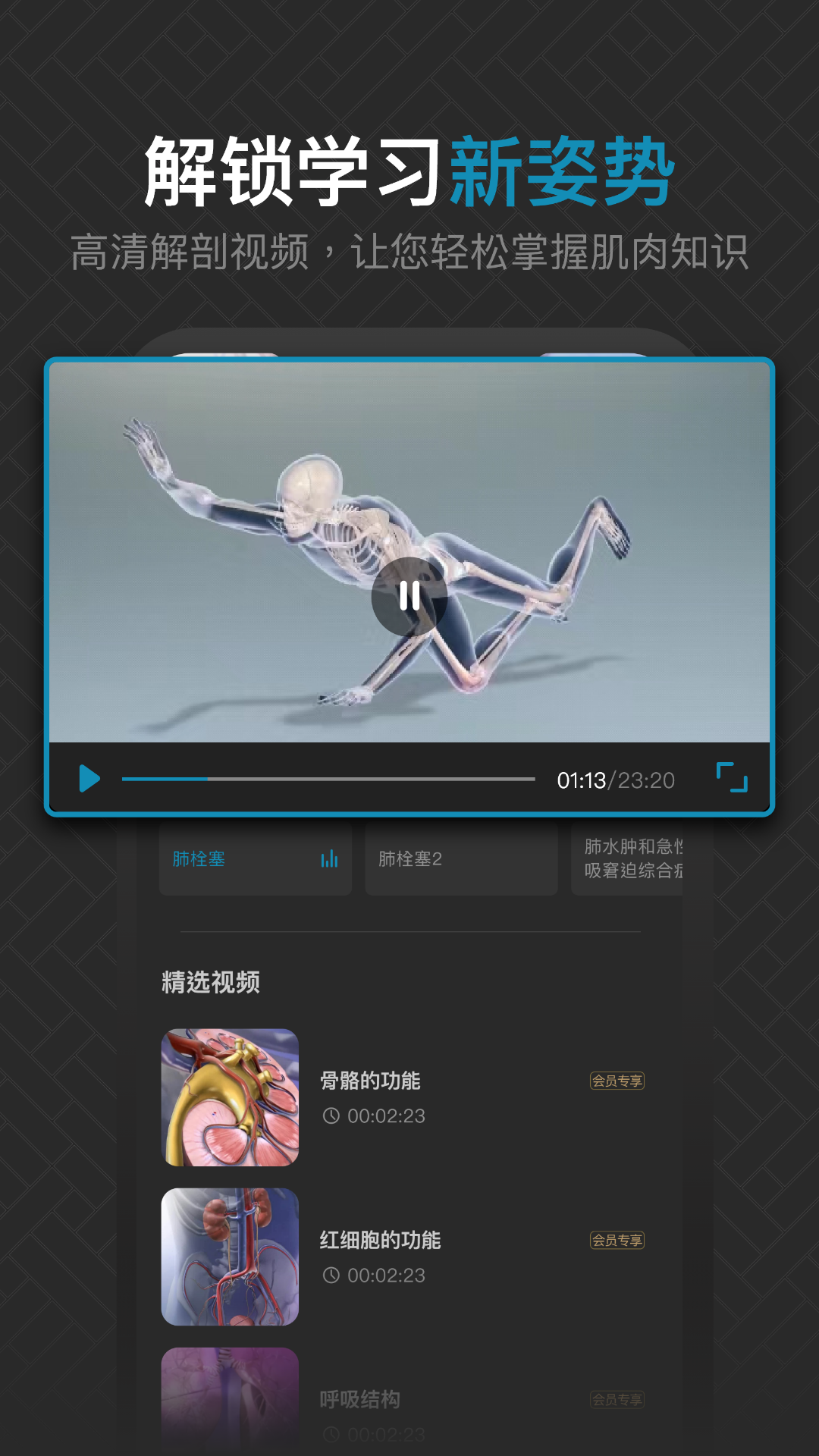 3D肌肉解剖 1.1 最新版 3