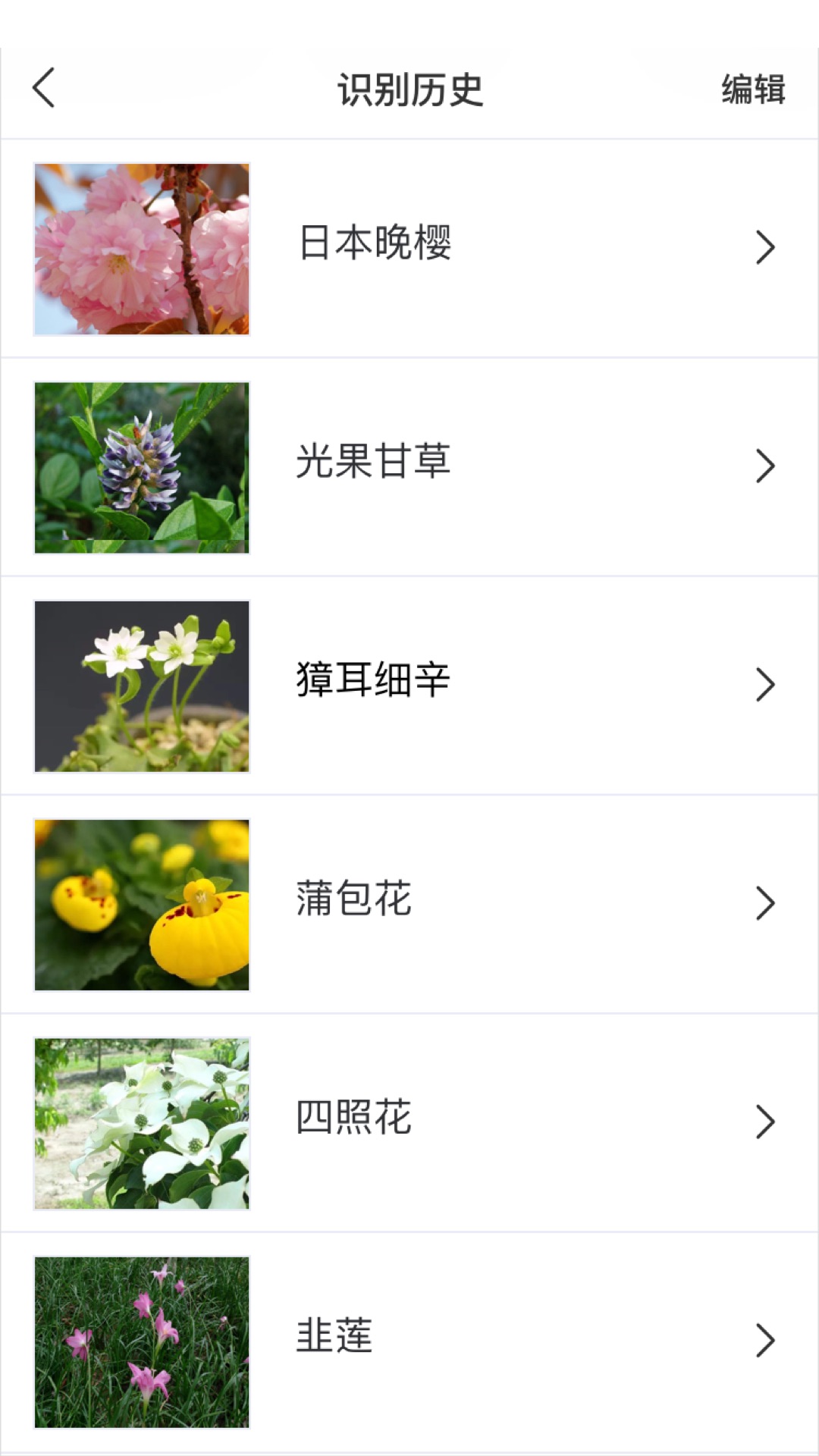 识花 1.3.8 最新版 2