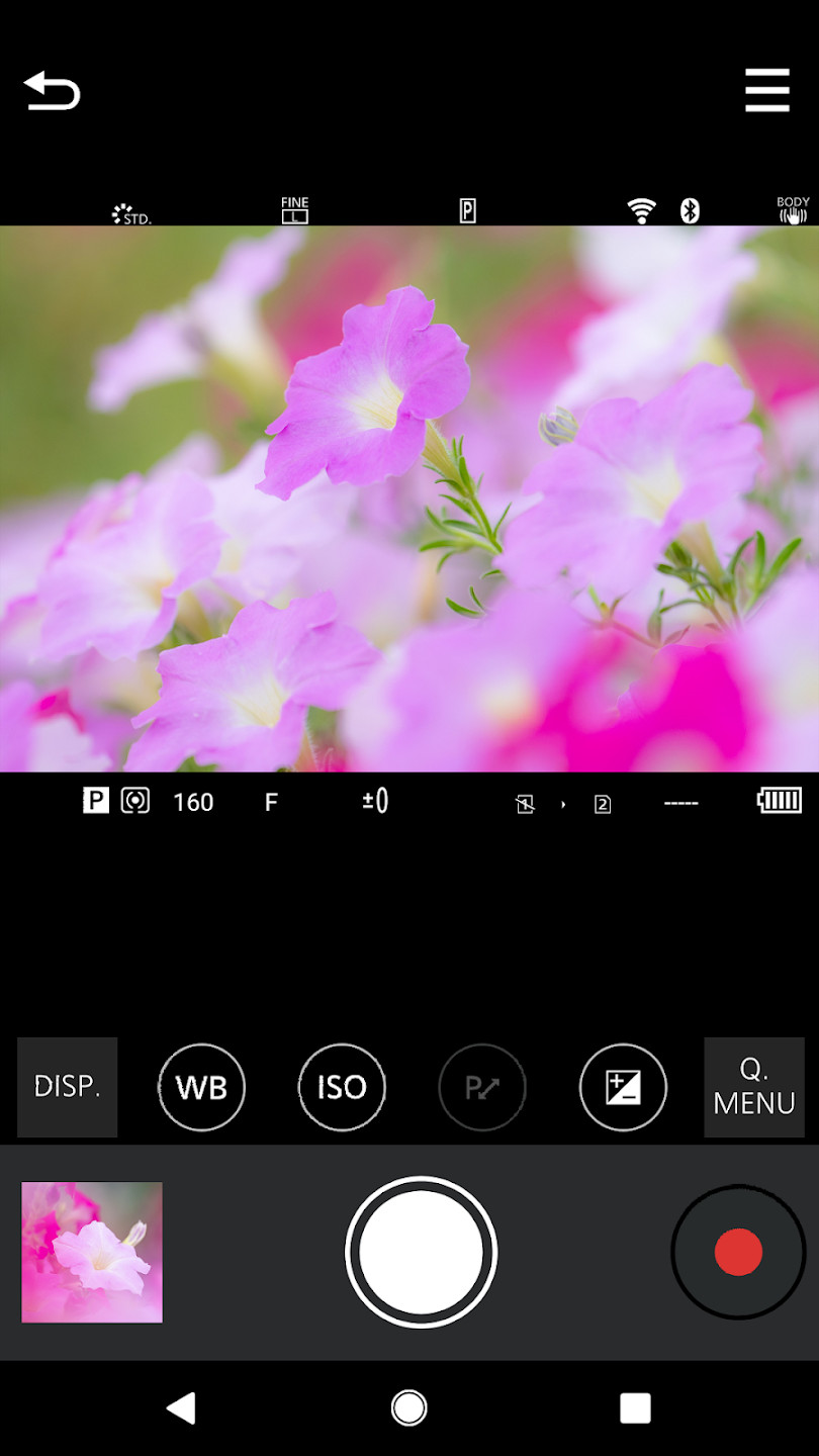Panasonic LUMIX Sync 2.0.13 最新版 2