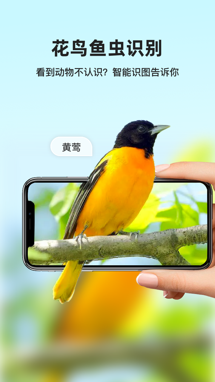 凤灵智能识图 1.7.0 最新版 1
