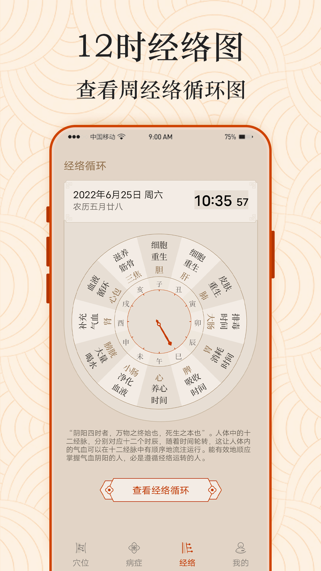 经络图解 2 最新版 2