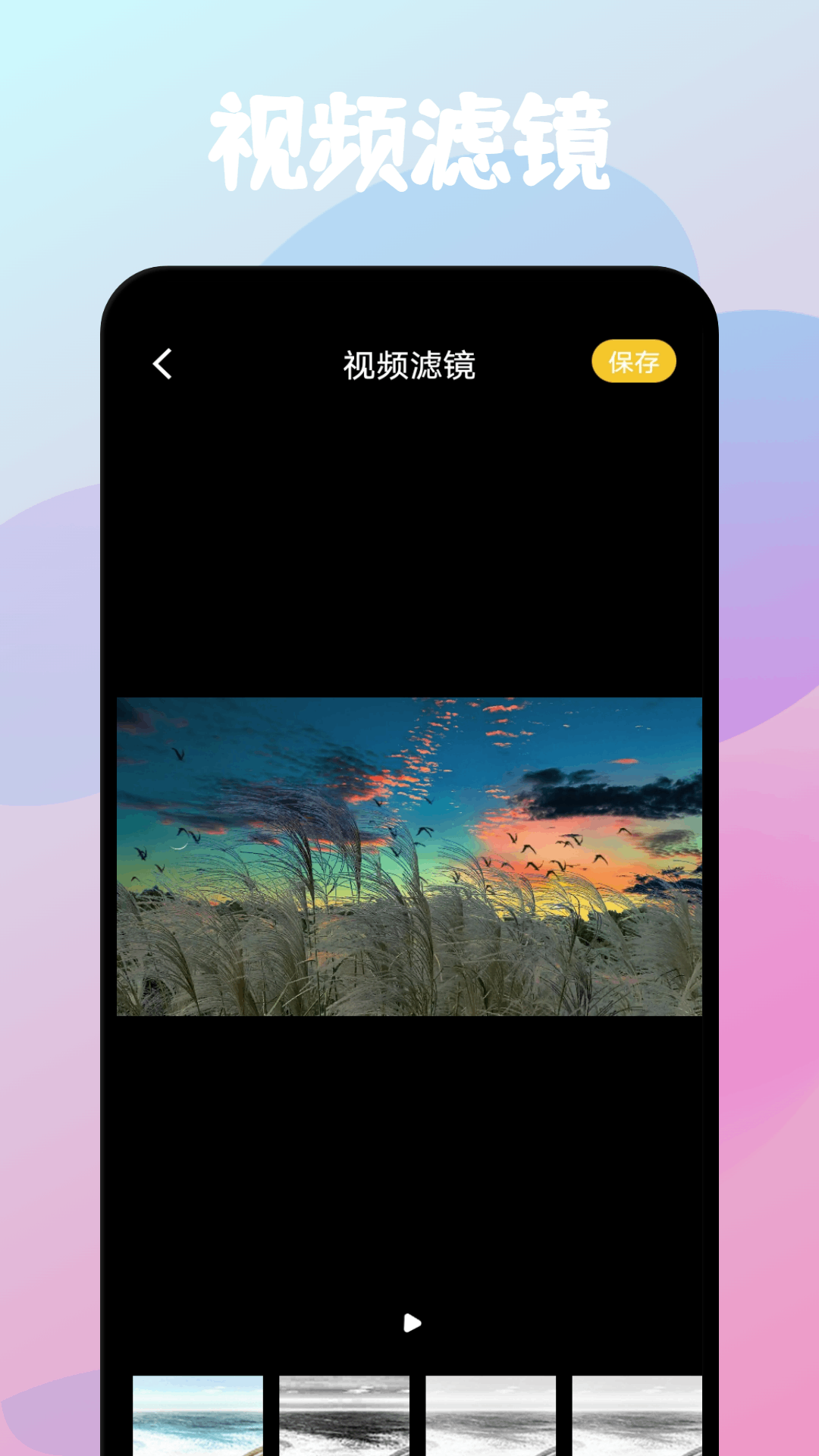 AM编辑 1.4 最新版 1