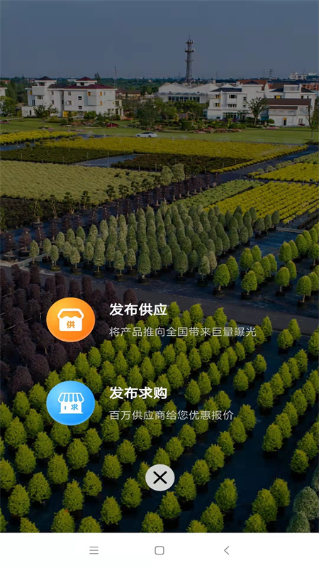 中数苗 1.2.3 最新版 1