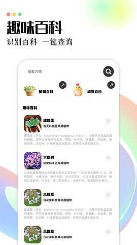 tpatpa 1.3 最新版 3