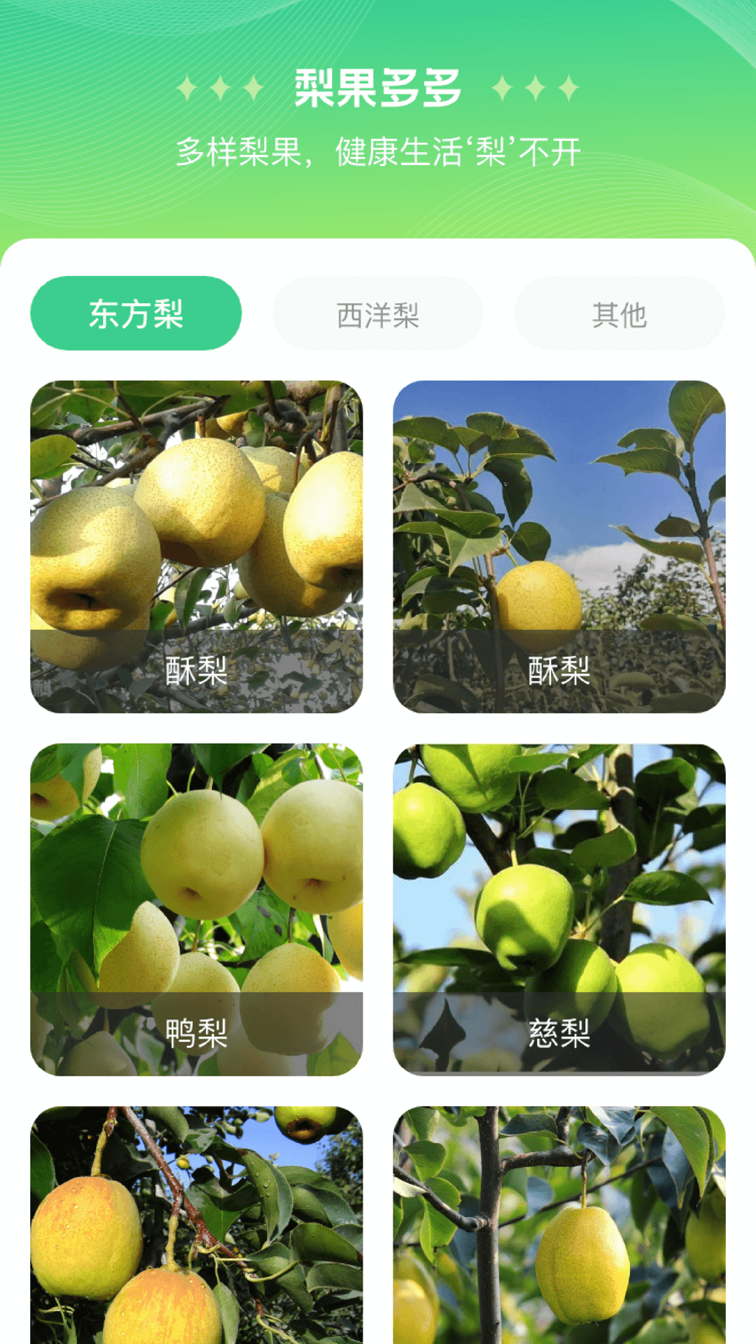 梨多点 1.0.2.132241630169 最新版 1