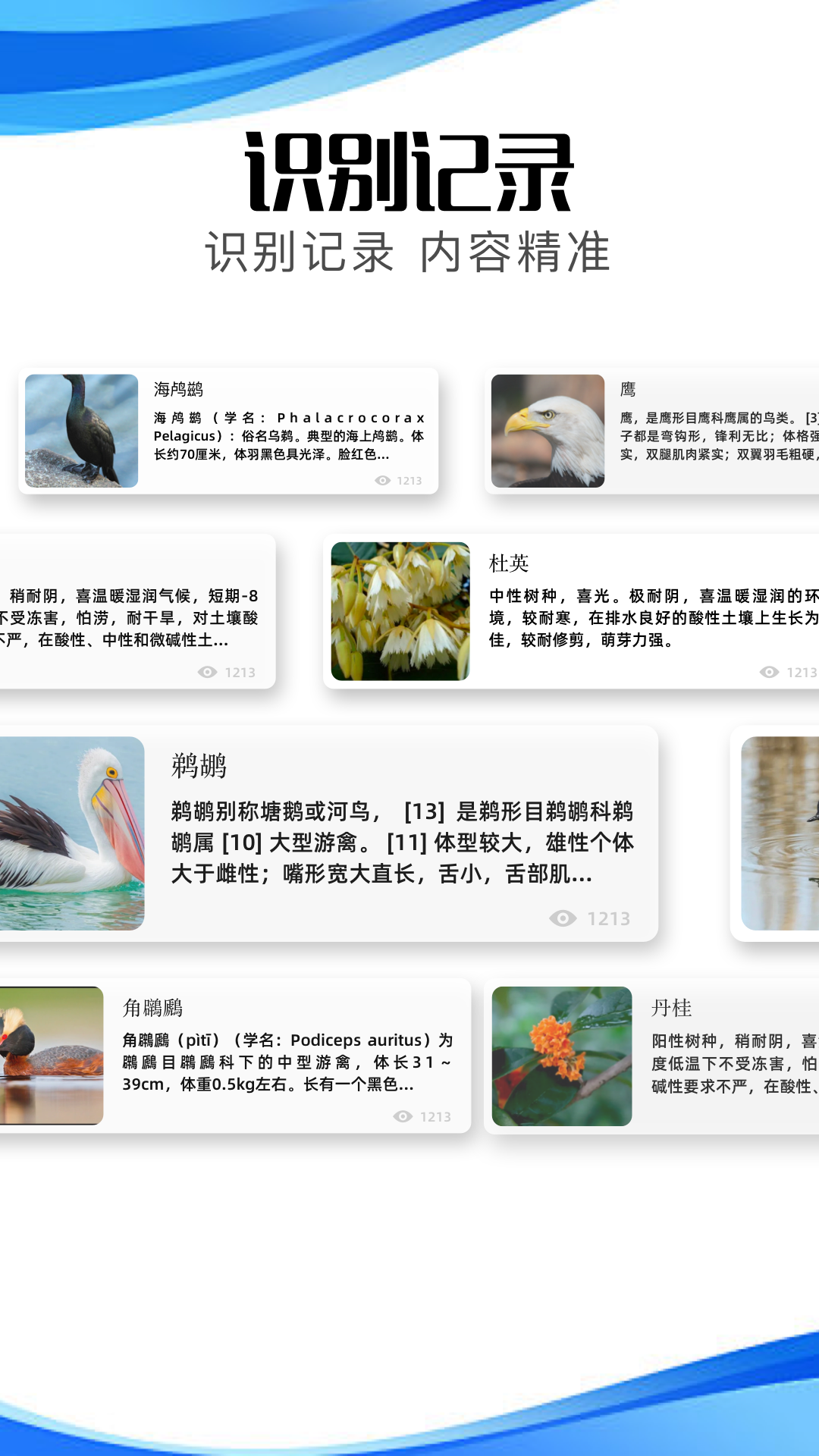 冷眸软件 1.1 最新版 3
