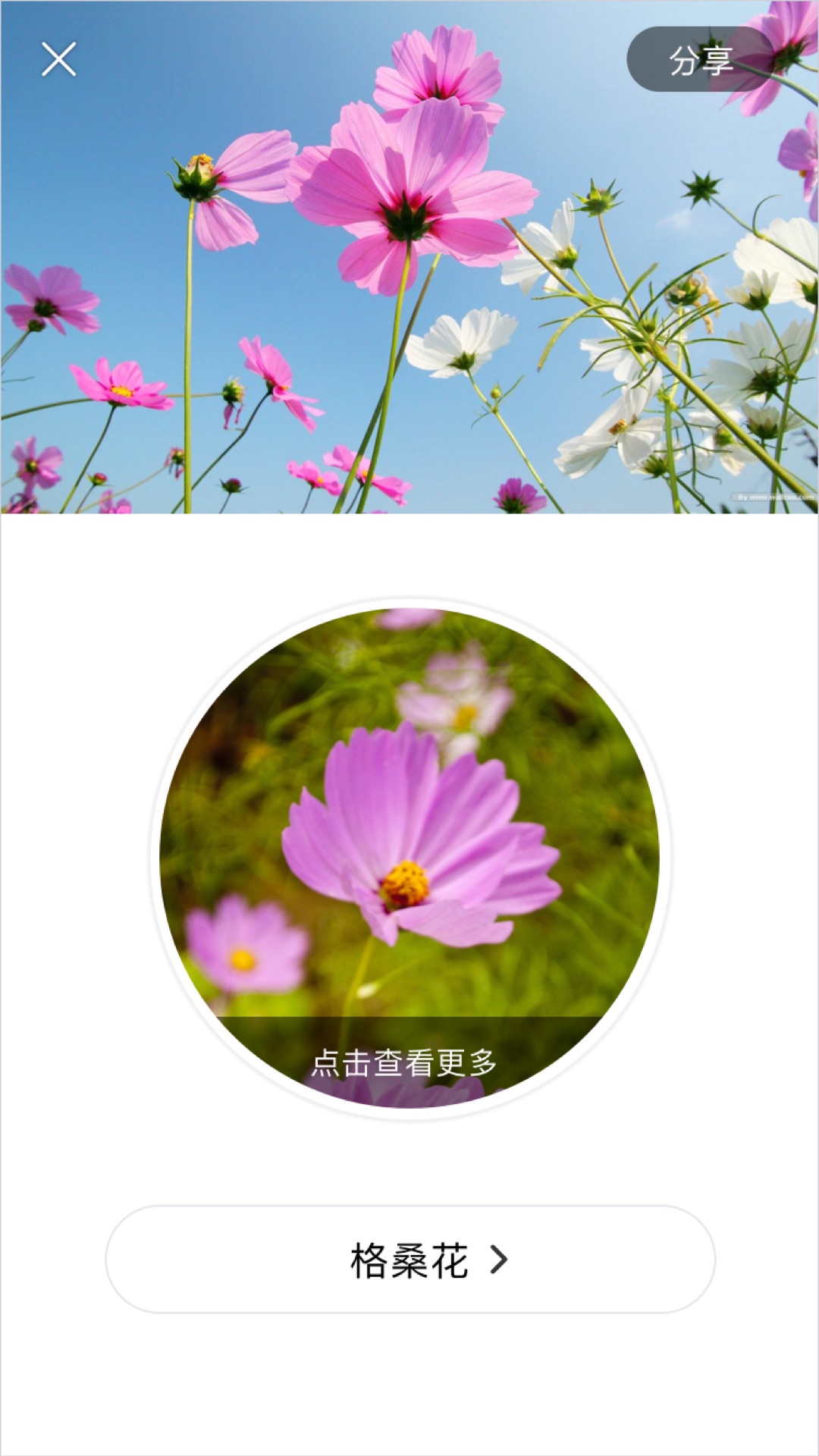 识花 1.3.8 最新版 1