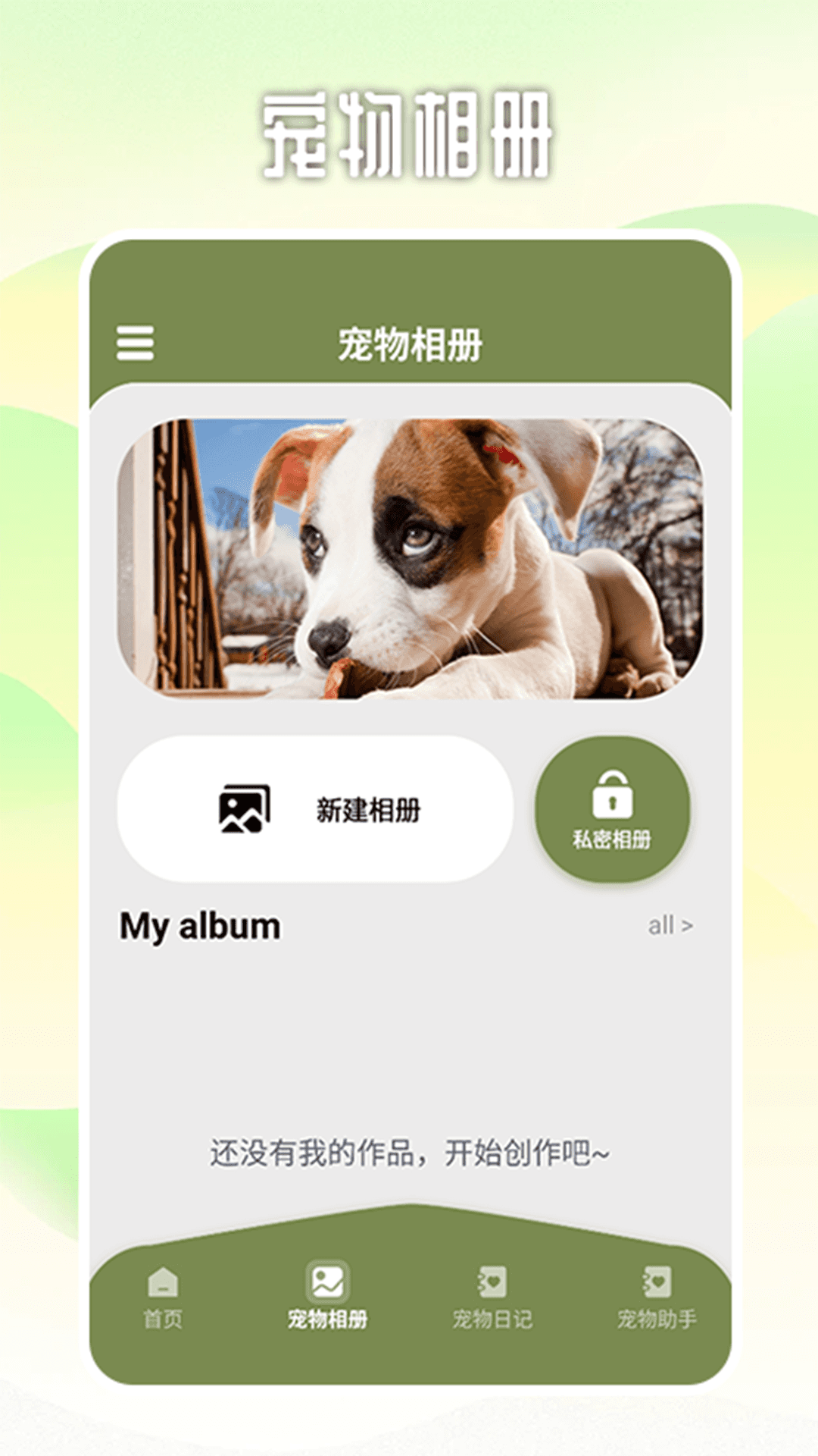 爱游猫助手 1.2 最新版 1